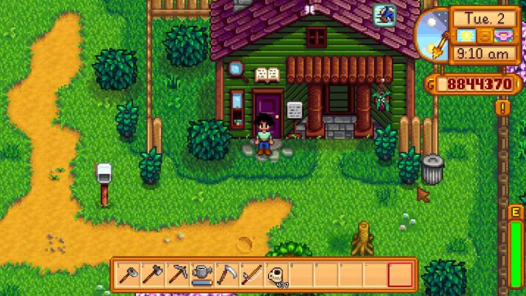 stardew valley library